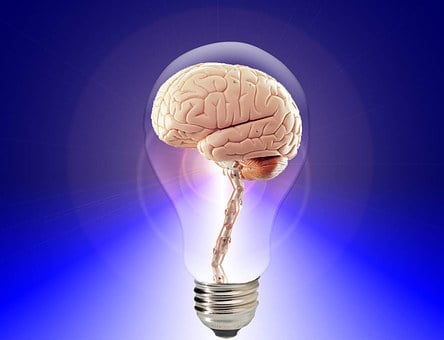 Lire la suite à propos de l’article Mémoire (activité cérébrale, concentration, préparation d’examens)