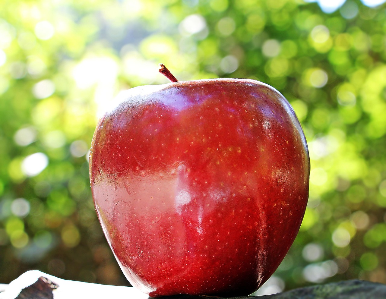 Lire la suite à propos de l’article La pomme : une alliée croquante pour ta vitalité naturelle 🍏✨